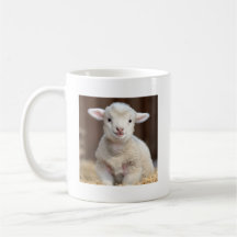 Cute Baby Sheep Mug - Cute Animal Mugs 