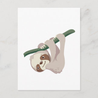 Cute Baby Sloth on a Branch Postcard