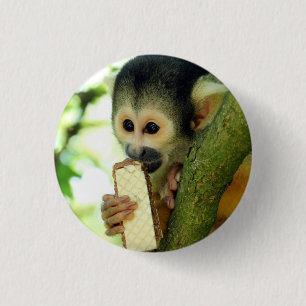 Cute Baby Squirrel Monkey Eating a Wafer Biscuit 3 Cm Round Badge