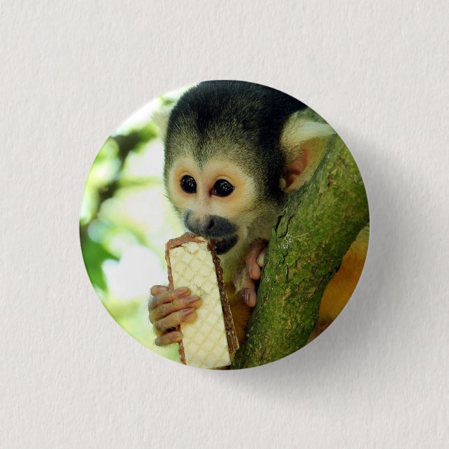 Cute Baby Squirrel Monkey Eating a Wafer Biscuit 3 Cm Round Badge (Front)