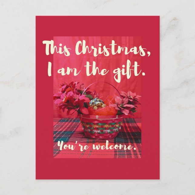 Cute Baby Sulcata Tortoise in poinsettia basket Postcard (Front)