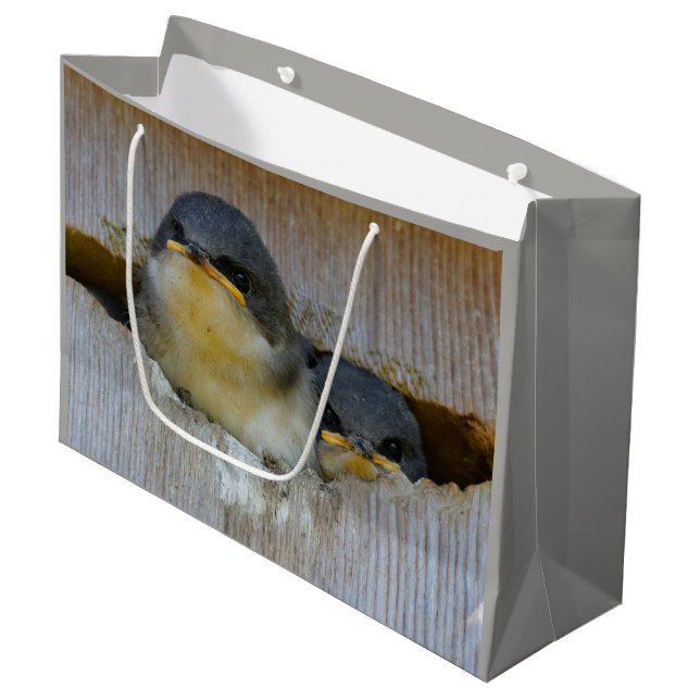 Cute Baby Tree Swallow Songbirds in Nestbox Large Gift Bag (Front Angled)