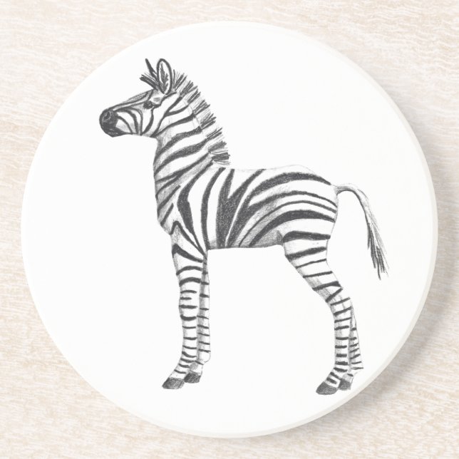 Cute Baby Zebra Drawing Coaster (Front)