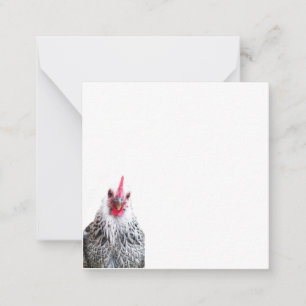Cute Bantam Cochin Hen Photo Flat Note Cards