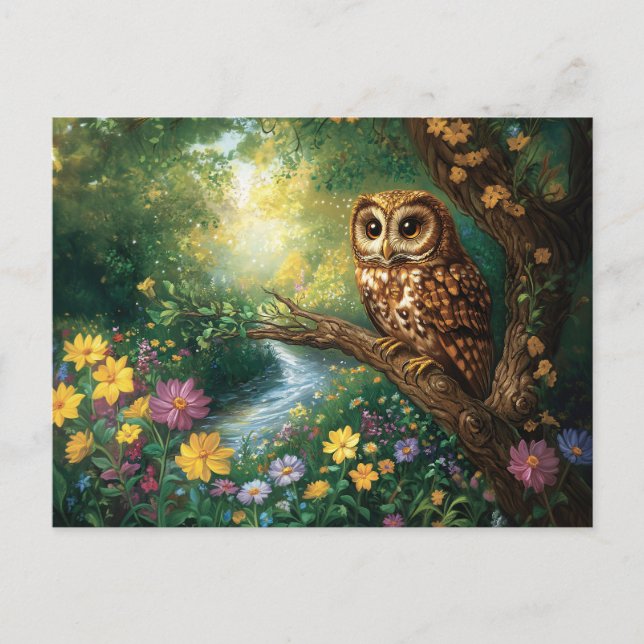Cute Barn Owl Enchanted Forest Art Postcard (Front)
