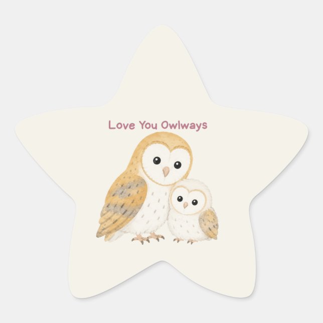 Cute Barn Owl Star Sticker (Front)