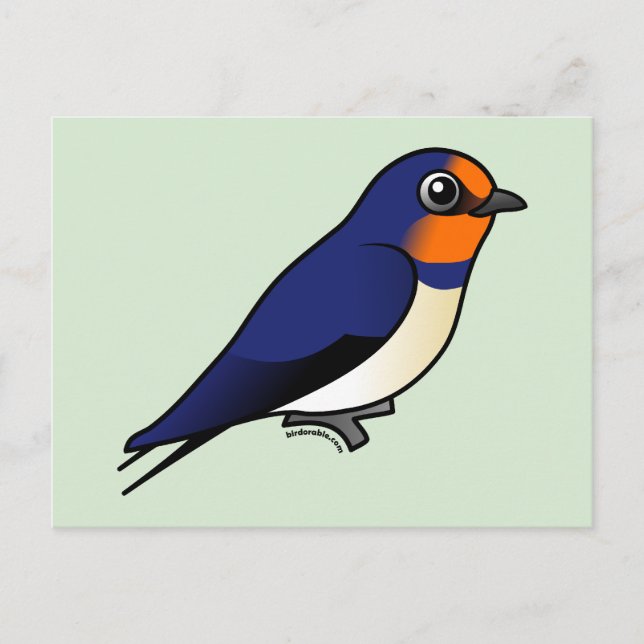 Cute Barn Swallow Postcard (Front)