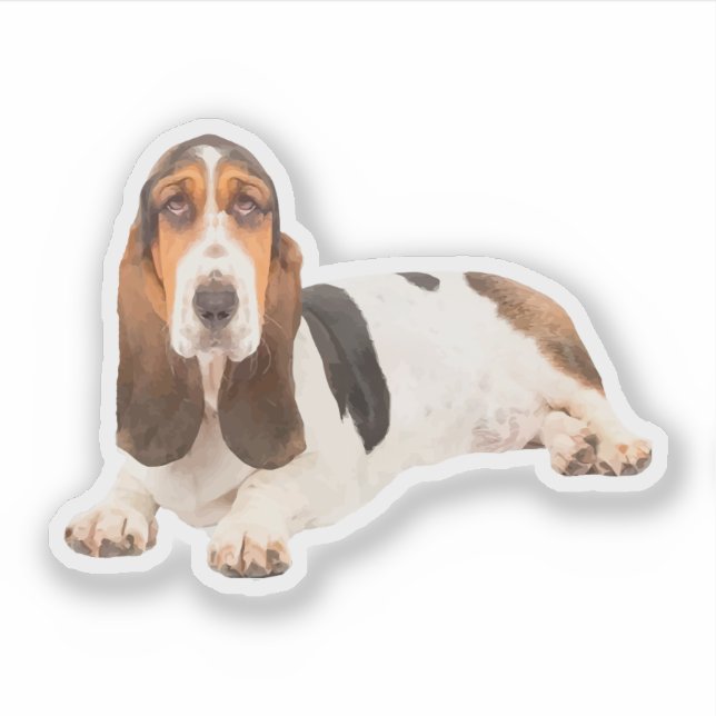 Cute Basset Hound Dog Breed Shape (Front)