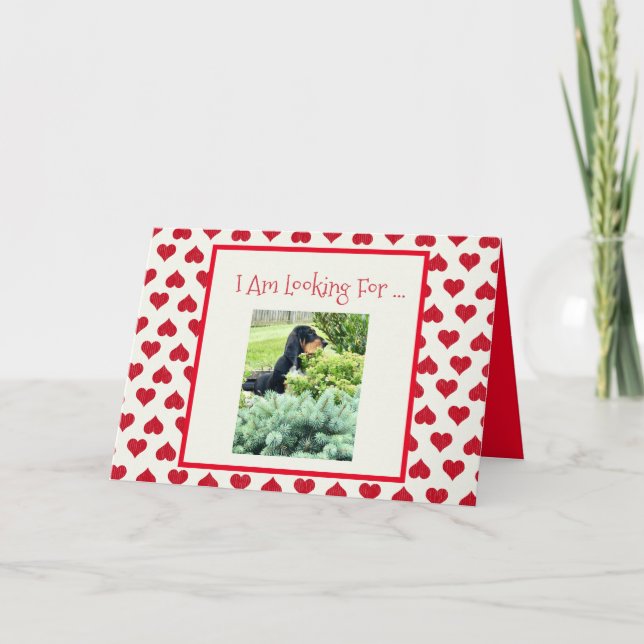 Cute Basset On Funny Valentine's Day Card (Front)