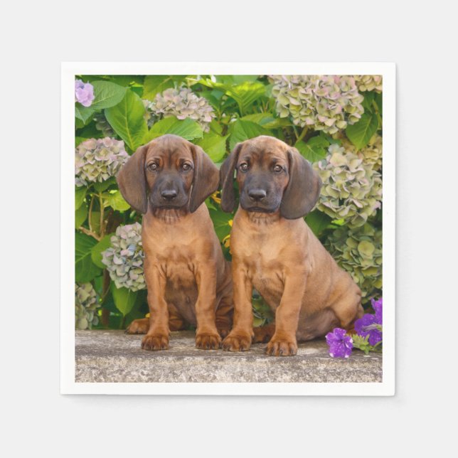 Cute Bavarian Mountain Hound Puppies with Flowers Napkin (Front)