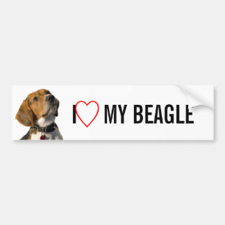 Cute Beagle Dog Bumper Sticker
