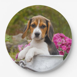 Cute  Beagle Dog Puppy in Milk Churn  Happy Party Paper Plate