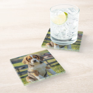 Cute Beagle Glass Coasters