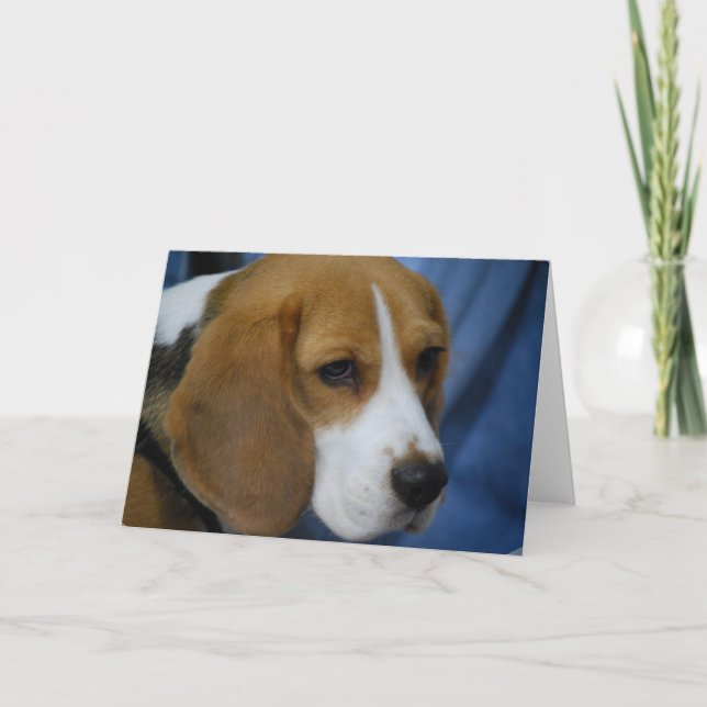 Cute Beagle  Greeting Cards (Front)