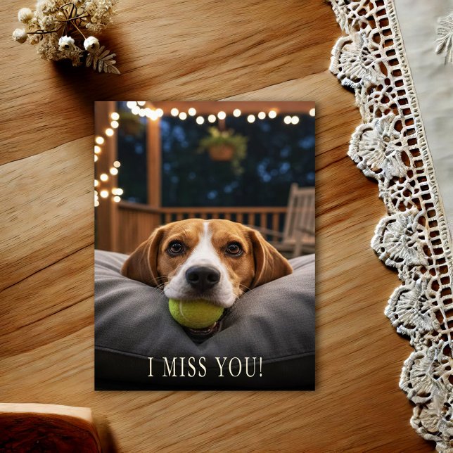 Cute Beagle I Miss You Postcard (Creator Uploaded)