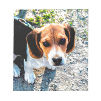 Cute Beagle Notepad
