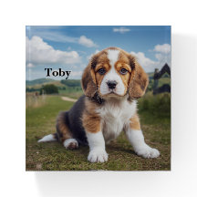 Cute Beagle Personalised Paperweight