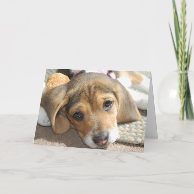 Cute Beagle Puppy Birthday Card (Front)