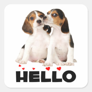 Cute Beagle Puppy Love Hello Thinking of You  Square Sticker