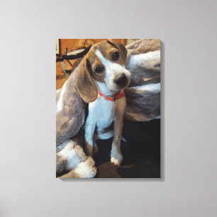 Cute Beagle Puppy with furry blanket canvas print