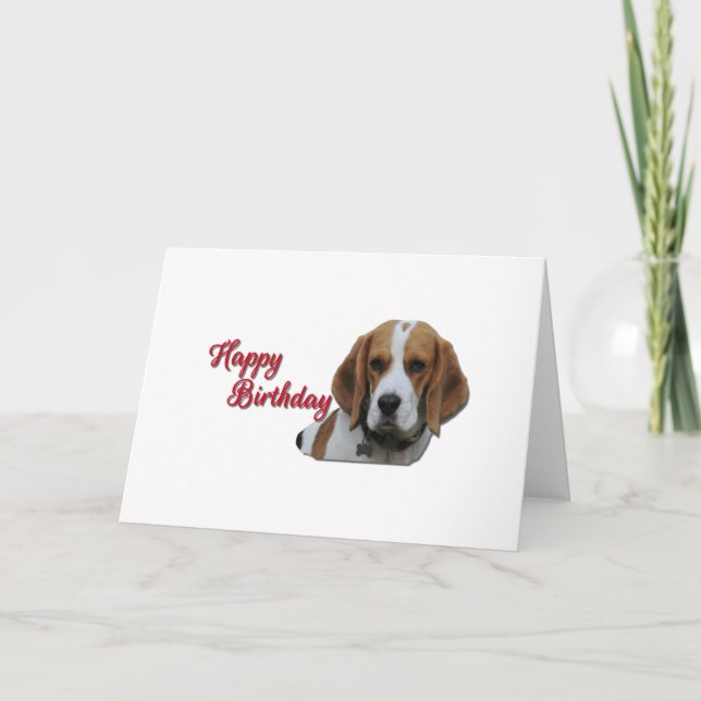 Cute Beagle Tri Coloured  Happy Birthday Red Card (Front)