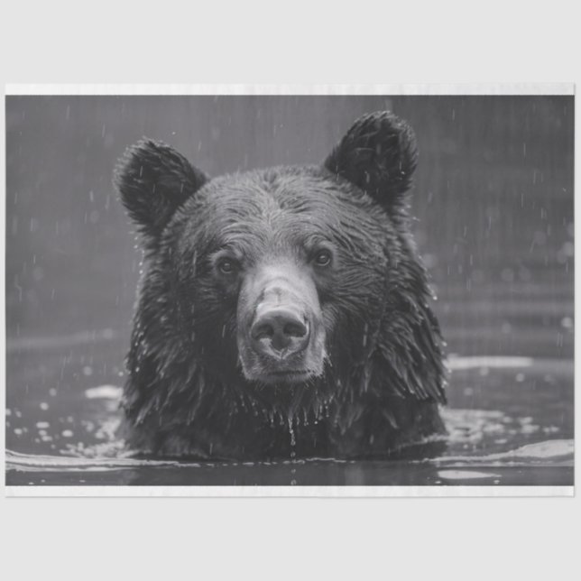 Cute Bear Black and White Decoupage Tissue Paper (Front)