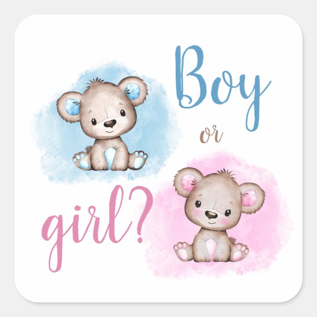 Cute Bear Boy or Girl Gender Reveal Shower Square Sticker (Front)