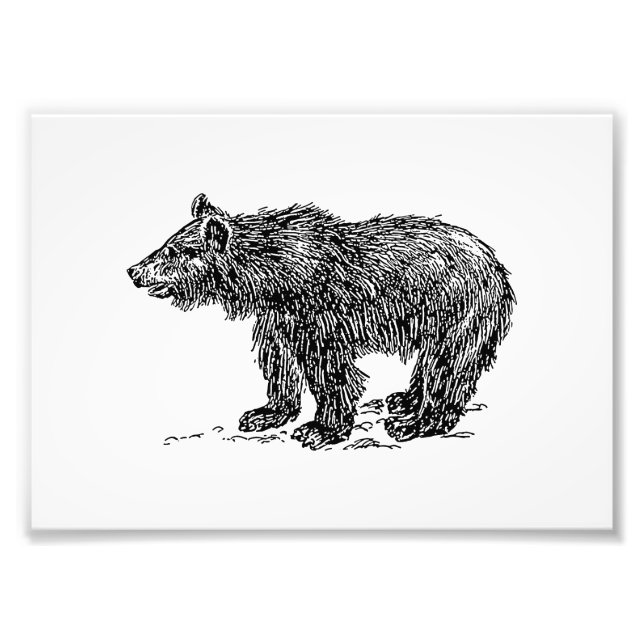 Cute Bear Cub Photo Print (Front)