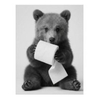 Cute Bear Holding Toilet Paper Funny Minimalist