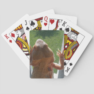 Cute Bearded Dragon Photo Print Design Playing Cards