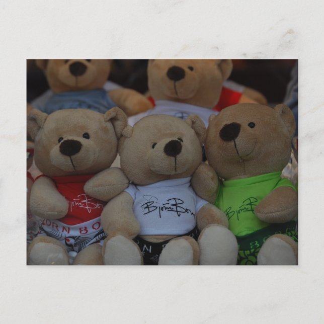 Cute Bears Postcard (Front)