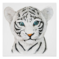 Cute Beautiful White Tiger With Blue Eyes