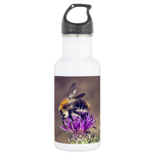 Cute bee on a thistle 532 ml water bottle
