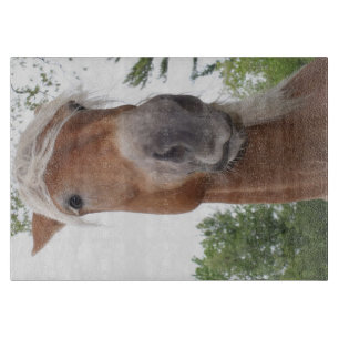 Cute Belgian Draught   Horse Face Animal Cutting Board