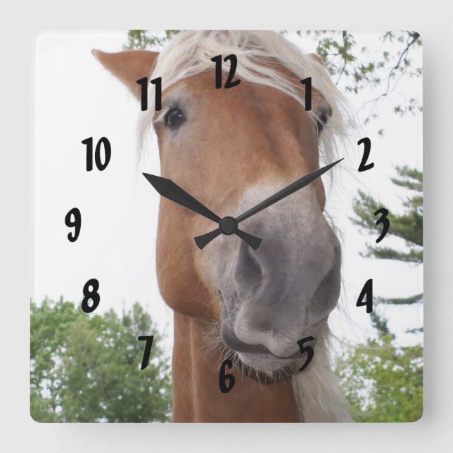 Cute Belgian Draught   Horse Face Animal Square Wall Clock (Front)