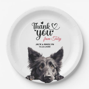 Cute Belgian Sheepdog Art Birthday Party Paper Plate
