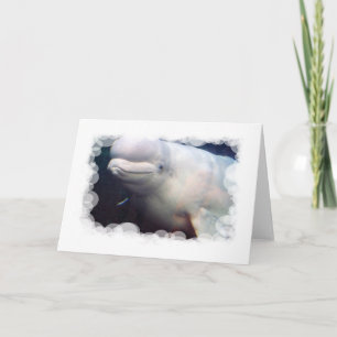 Cute Beluga Whale Greeting Card