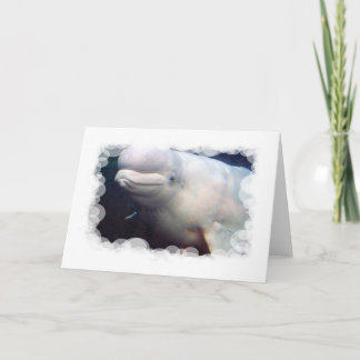 Cute Beluga Whale Greeting Card