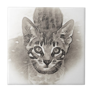 Cute Bengal Kitten Drawing Tile