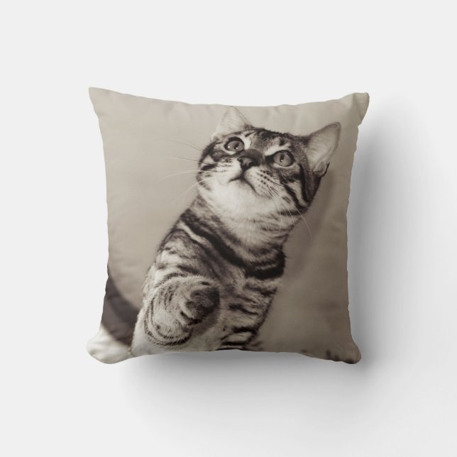 Cute Bengal Kitten Photo Cushion (Front)