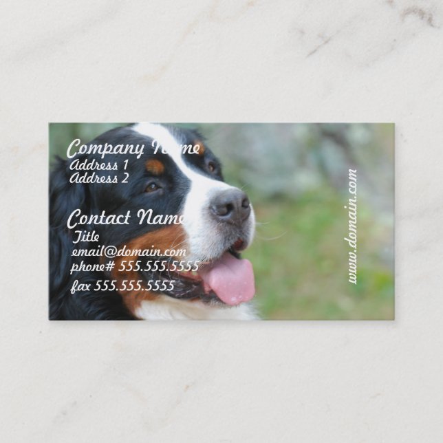 Cute Bernese Business Cards (Front)