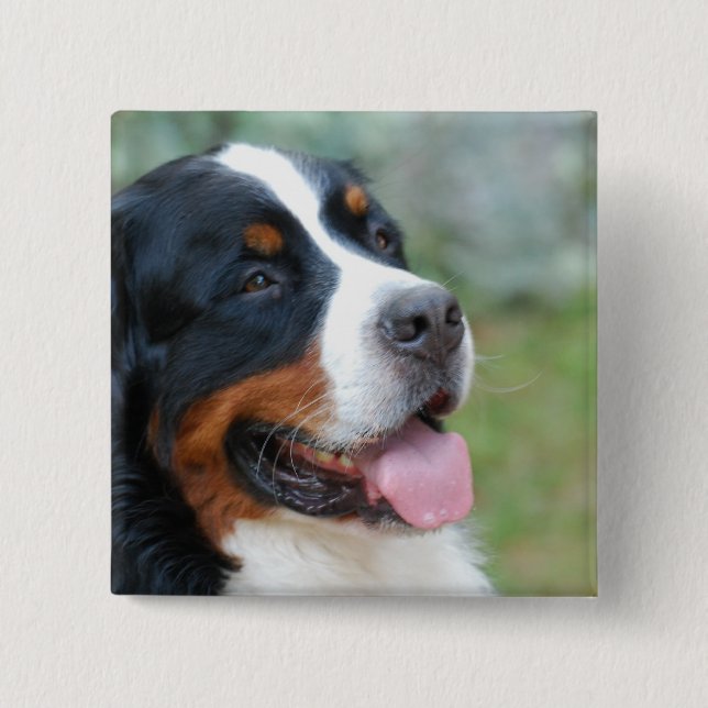 Cute Bernese Button (Front)