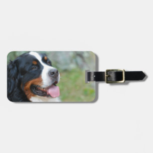 Cute Bernese Luggage Tag