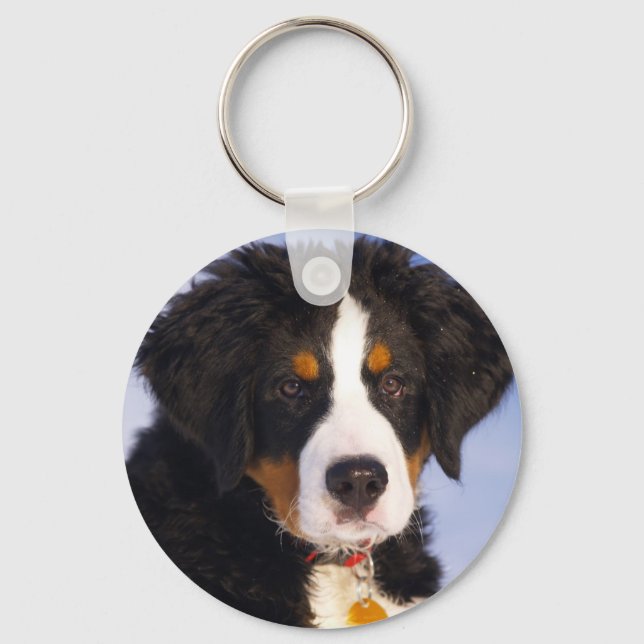 Cute Bernese Mountain Dog Puppy Picture Key Ring (Front)