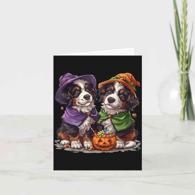 Cute Bernese Mountain Dogs Witch Pumpkin Halloween Card (Front)