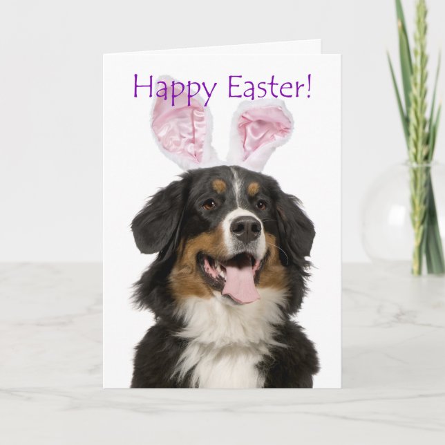 Cute Bernese Mt. Dog Easter Card (Front)