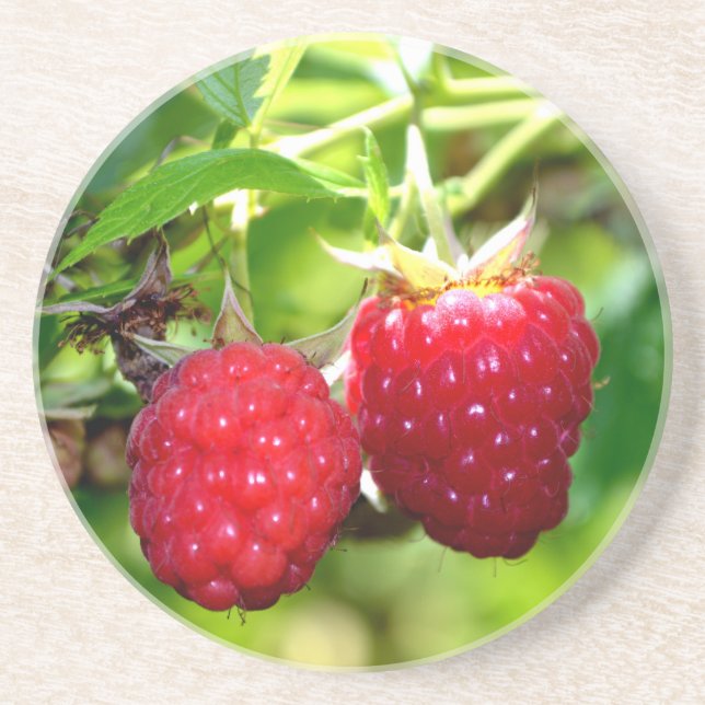 Cute berry photo Raspberries blackberries fruit Coaster (Front)