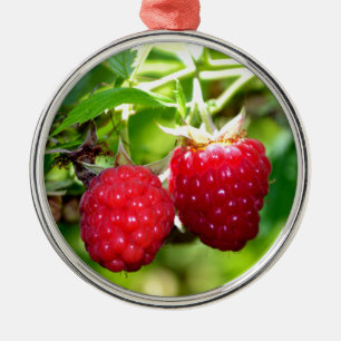 Cute berry photo Raspberries blackberries fruit Metal Tree Decoration