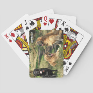 Cute Best Friends Dogs Playing Cards