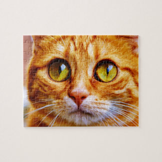 Cute Big Eyed Ginger Cat Jigsaw Puzzle